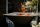 Plancha Grill Eterno schwarz